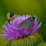 Unveiling Truth: What Are Fraud Bibles and How to Spot Them