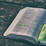Elevate Your Studies: Unveiling the Best Bible Study Bibles! 17 Elevate Your Studies: Unveiling the Best Bible Study Bibles!