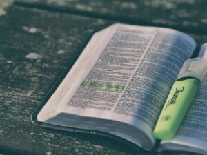 Elevate Your Studies: Unveiling the Best Bible Study Bibles! 7 Elevate Your Studies: Unveiling the Best Bible Study Bibles!