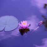 Traditional Practices: Days to Fast in Lent Explained