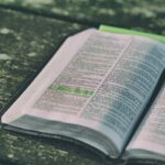 Best Study Bibles: Unlocking Spiritual Wisdom for Every Seeker