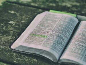 Best Study Bibles: Unlocking Spiritual Wisdom for Every Seeker 5 Best Study Bibles: Unlocking Spiritual Wisdom for Every Seeker