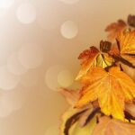 Thanksgiving Day Prayer Catholic: Celebrate Gratitude with Catholic Tradition 21 Thanksgiving Day Prayer Catholic: Celebrate Gratitude with Catholic Tradition