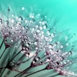 A Beautiful Prayer for Healing: Find Peace and Restoration!