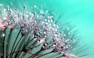 A Beautiful Prayer for Healing: Find Peace and Restoration! 28 A Beautiful Prayer for Healing: Find Peace and Restoration!