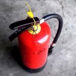 Fire Safety Facts: Are Bibles Fireproof? Revealed