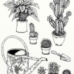 How to Draw a Rosary: Creative Expression of Devotion