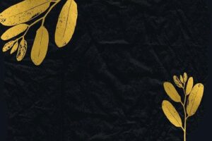 What Is the Rosary for a Funeral? Understanding Funeral Prayer Traditions