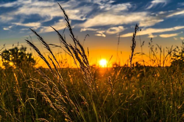 Powerful Thanksgiving Prayer: Tap into Divine Gratitude and Abundance 5 Heading 3: Cultivating a Grateful Heart: Inspiring Practices to Tap into Divine Gratitude