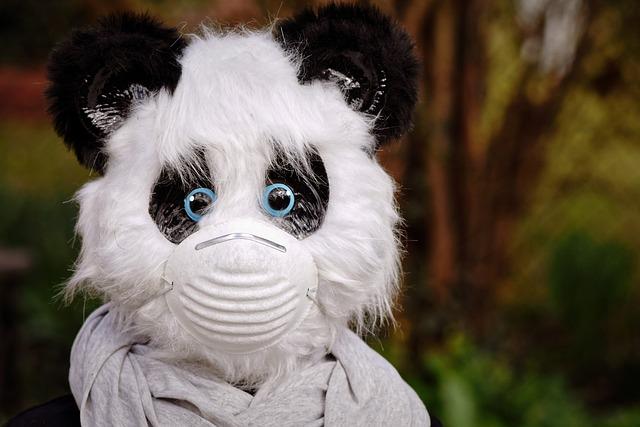 Prayer for Healing with an Egg in Spanish: Uncover Traditional Remedies! 9 Precautions and Considerations When Using Eggs for Healing