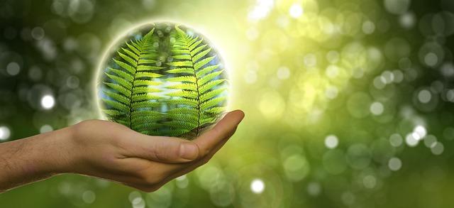 Fasting During Lent for Catholics: A Holistic Approach 8 Support Systems and Community Resources for Fasting Catholics