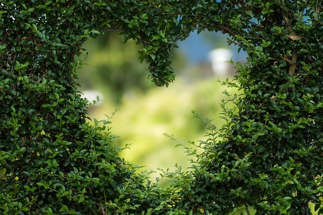 Prayer for Upcoming Surgery: Nurturing Trust in God's Plan 1 Preparing Your Heart for Surgery Through Prayer