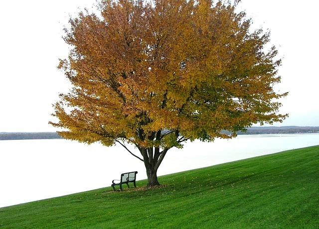 Finding ⁢Solace in the Sorrowful Mysteries: Reflect on Christ's Passion on Tuesdays