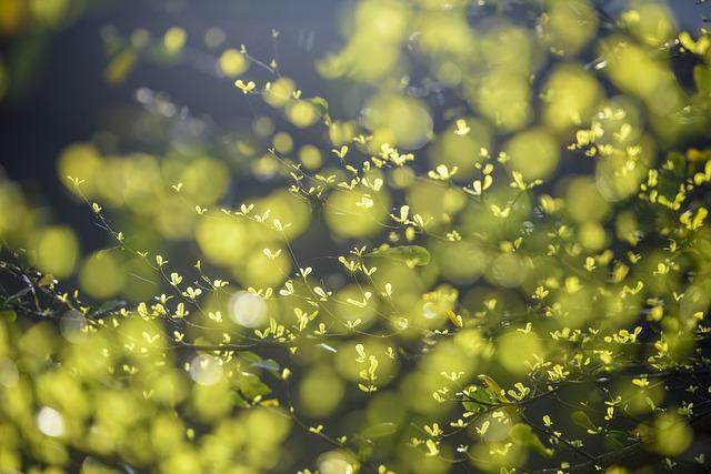 A Prayer Quote for Healing: Find Inspiration in Words! 9 Creating a Healing Environment: Incorporating Prayer Quotes into Daily Rituals