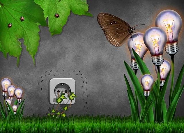 Advent Calendar with Gummies: Indulge in Sweet Treats as You Countdown 9 - Budget-Friendly Options for Advent Calendars with Gummies