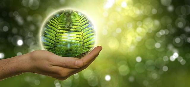 Building a Support System for Emotional Healing