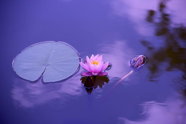 Catholic Prayer for Healing of Cancer: Seek Divine Comfort! 3 Connecting with Divine Comfort Through Prayer