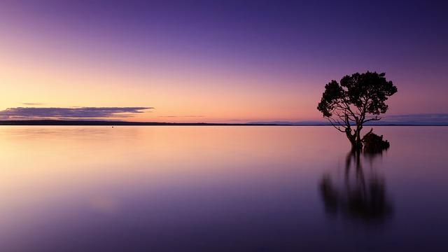 Finding Peace: Exploring the Meaning of Peace in Advent 7 Seeking Solitude and Silence for Inner Peace