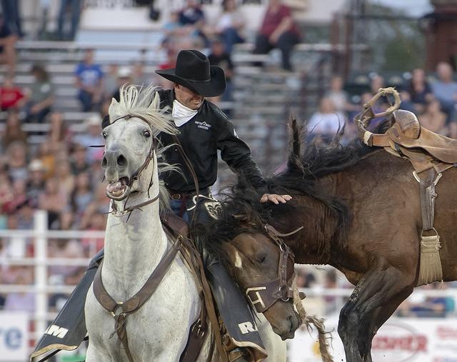 Advent Calendar with Horses: Gallop into the Holidays with Equestrian Elegance 12 Tips for Preserving Your Horse-Themed Advent Calendar for Years to Come