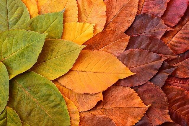 Heading 10: The Transformative Effects of Prayer on Healing and Recovery