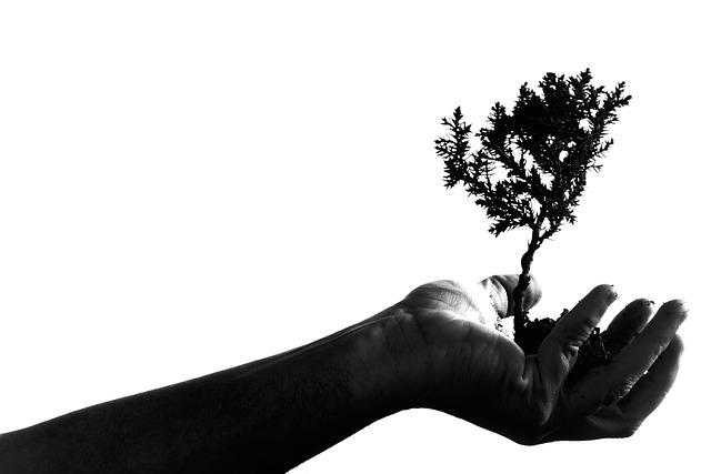 Seeking Spiritual Growth Through Fasting