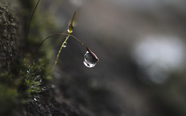 Selecting the Ideal Color Scheme