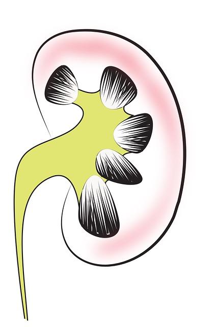 Renewal Within: Healing Prayer for Kidneys Unveiled! 3 Understanding Kidney Health: Common Issues and Symptoms