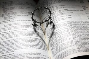 Highlight Your Faith: Dry Highlighters for Bibles Available Now! 4 Highlight Your Faith: Dry Highlighters for Bibles Available Now!