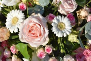 Offertory Prayer for Thanksgiving: Express Gratitude in Worship
