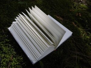 Ease of Reading: Large Print Bibles for Seniors Await!