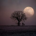 Find Clarity: Best NLT Bibles Revealed!
