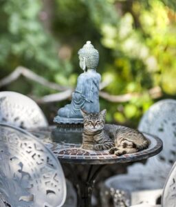 Spiritual Comfort: Catholic Prayer for Healing and Strength Revealed!