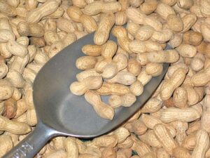 Advent of Code Day 16: Crack the Challenge and Win Daily Prizes!