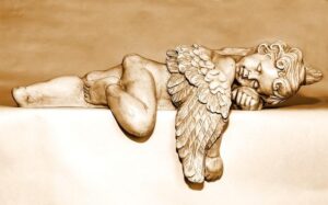 Guardian Angels: Book Covers for Bibles Shielding Your Faith