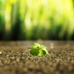 Wishing Well: Short Prayer for Surgery Success 18 Wishing Well: Short Prayer for Surgery Success