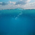 Dive Deep: Best Bibles for Bible Study Unveiled