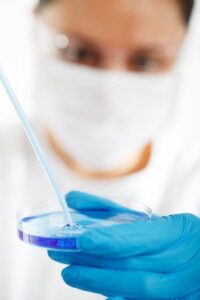 Science Experiment Advent Calendar: Explore Daily Discoveries Throughout December!