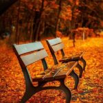 Restful Recovery: Prayer for Rest and Healing for Physical and Spiritual Renewal