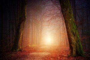 Watch for the Light Readings for Advent and Christmas: Illuminate Your Heart with Meaningful Words! 8 Watch for the Light Readings for Advent and Christmas: Illuminate Your Heart with Meaningful Words!