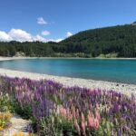 Healing Journey: Navigate Recovery with A Time to Heal 50 Prayer McQuiggi
