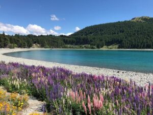 Healing Journey: Navigate Recovery with A Time to Heal 50 Prayer McQuiggi 4 Healing Journey: Navigate Recovery with A Time to Heal 50 Prayer McQuiggi