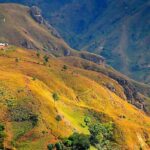 Bibles for Haiti: Bringing Hope to the Caribbean Nation