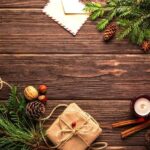 Treat Your Cat: Christmas Advent Calendar for Cats!