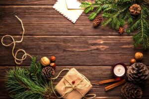Treat Your Cat: Christmas Advent Calendar for Cats!