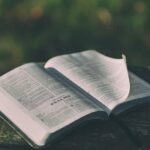 Bibles in Bulk Reviews: Finding Quality Faith Resources in Quantity