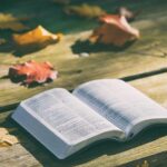 Unveiling the Top Rated Bibles: Your Ultimate Guide!