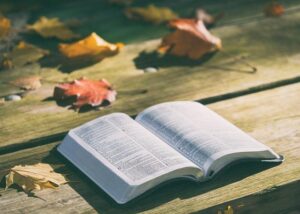 Unveiling the Top Rated Bibles: Your Ultimate Guide!