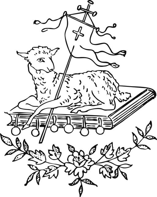 Invest Wisely: Top Bibles to Buy Right Now! 7 Illustrated Bibles for Visual Learners