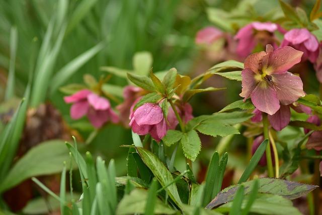 Lent Fasting Tips: Enhance Your Spiritual Journey 2 1. Understanding the Purpose of Lenten Fasting