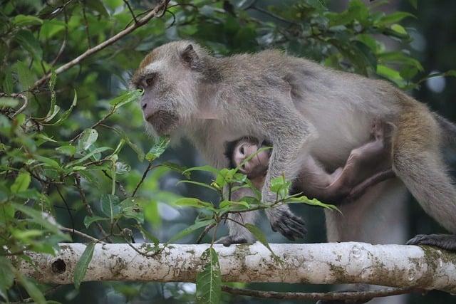 Last Day of Fasting for Lent 2019: Reflecting on Your Journey 10 Heading 9: Nurturing a Continued Connection with Faith and Spirituality